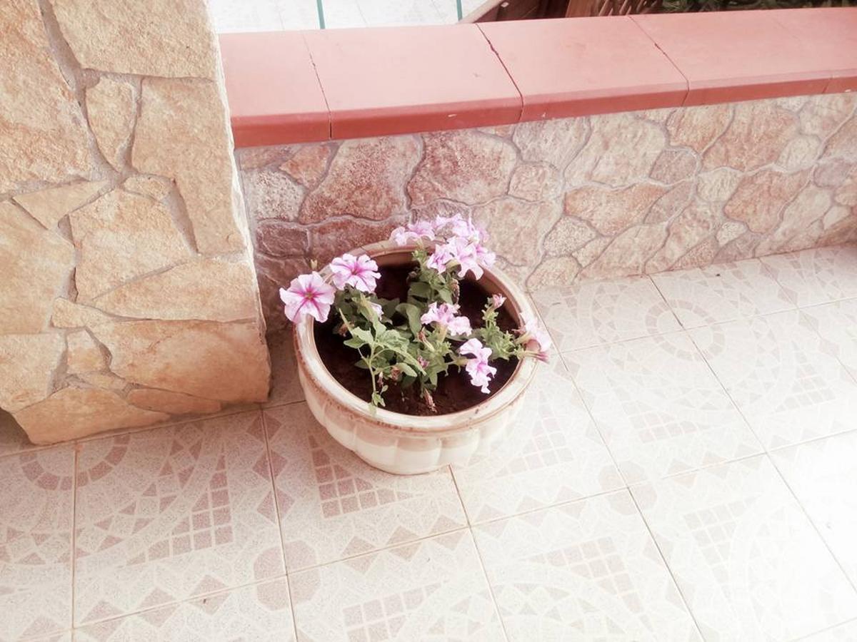 Villa Grazia Deluxe Lido di Noto Eksteriør bilde